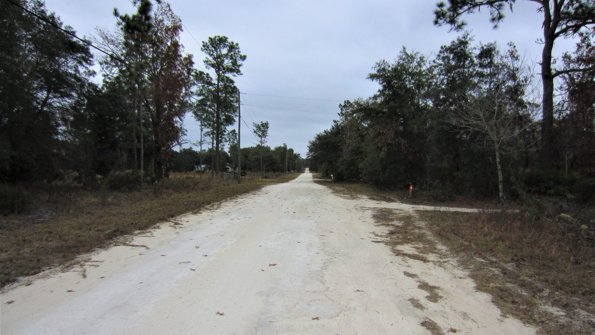 Archer, FL 4.85 Acres, High and Dry, DeadEnd Road Right off of
